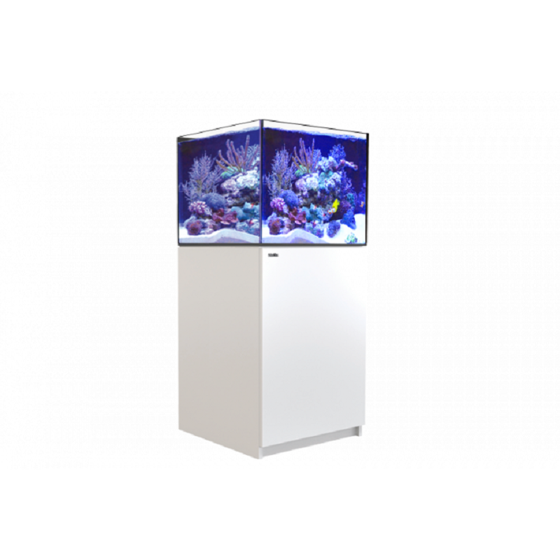 red sea tank for sale