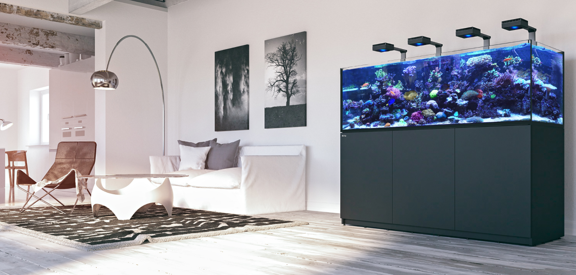 Home - Advanced Aquarium Consultancy