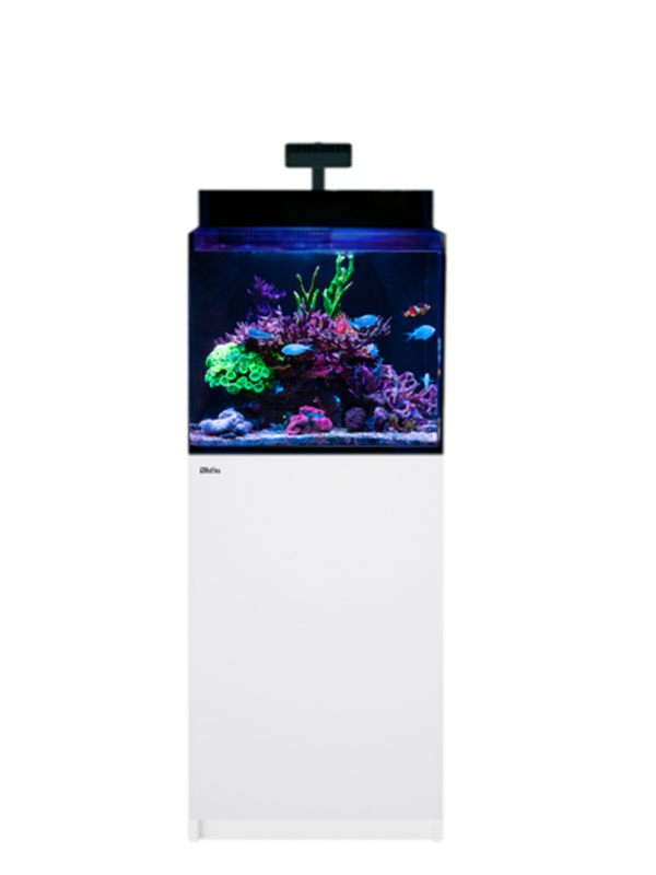 Red Sea Max Nano G2 XL Aquarium - Advanced Aquarium Consultancy